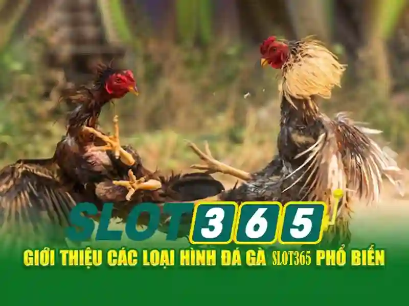 Slot365 - Trải nghiệm chơi slot trực tuyến an toàn và hấp dẫn