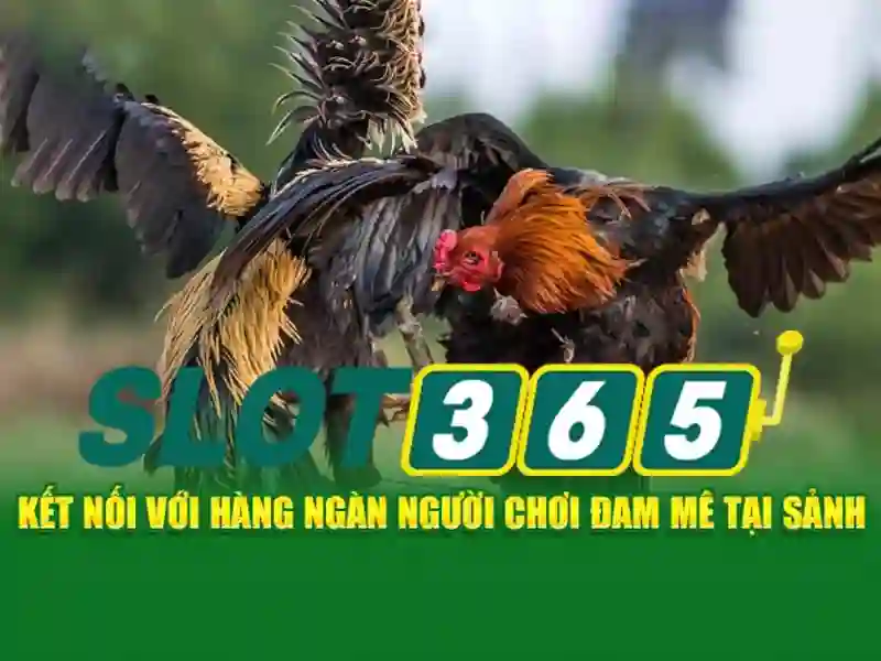 Slot365 – Nơi giải trí slot trực tuyến đáng tin cậy