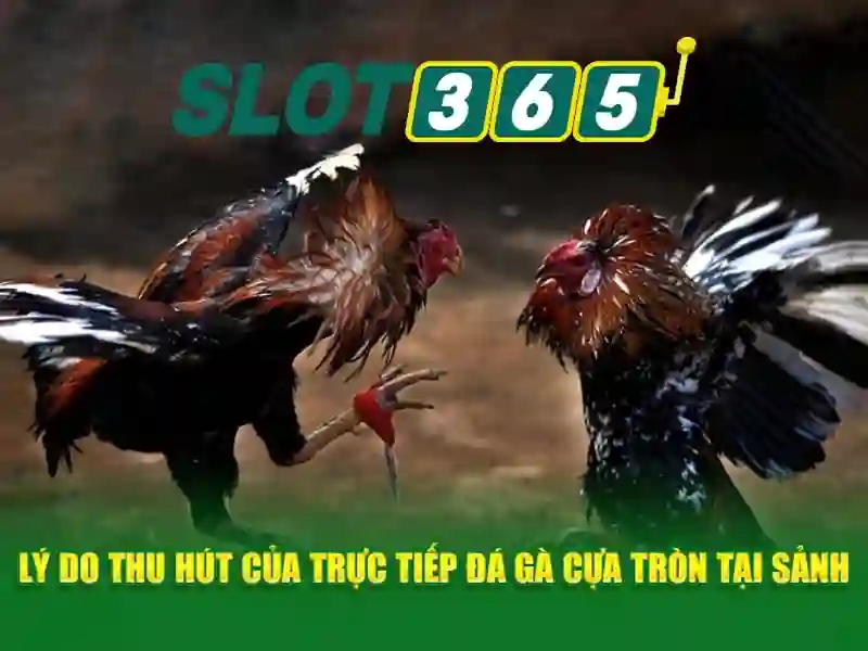 Trợ giúp và hỗ trợ khách hàng