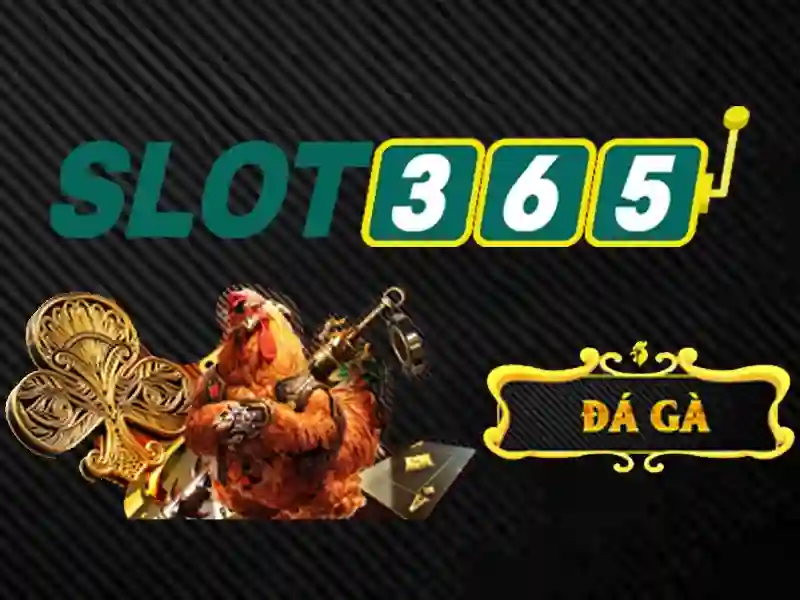 slot365 link – cầu nối tin cậy cho trải nghiệm Slot365