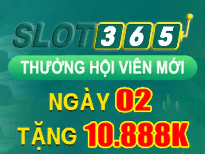 Khuyến mãi và chương trình thưởng