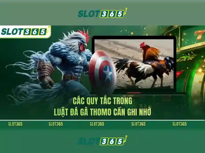 Trải nghiệm người dùng và phản hồi cộng đồng