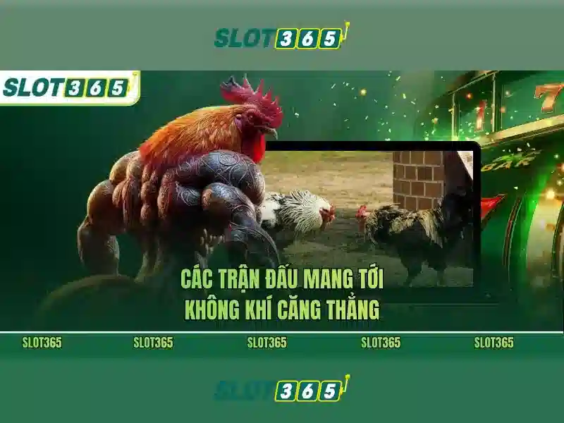 slot365 tại – Trải nghiệm đỉnh cao và ưu đãi hấp dẫn