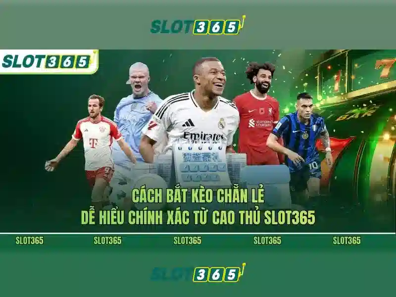 Slot365 – Đánh giá tổng quan nền tảng máy đánh bài trực tuyến