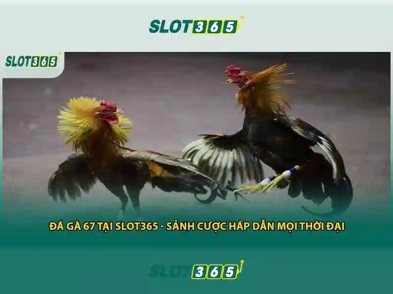 Slot365 - Trải nghiệm slot trực tuyến hàng đầu