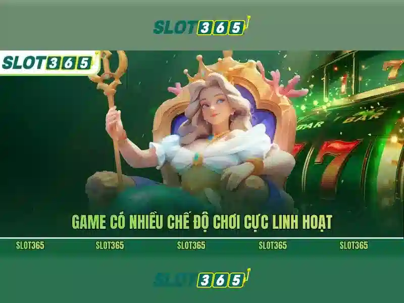 Slot365: Tổng quan về nền cược trực tuyến