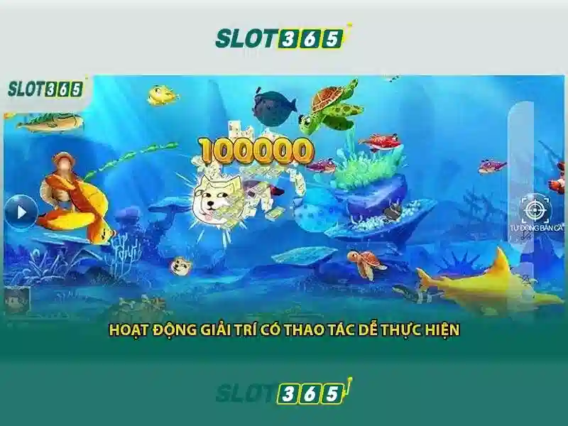 Slot365: Tổng quan về nền tảng trò chơi trực tuyến