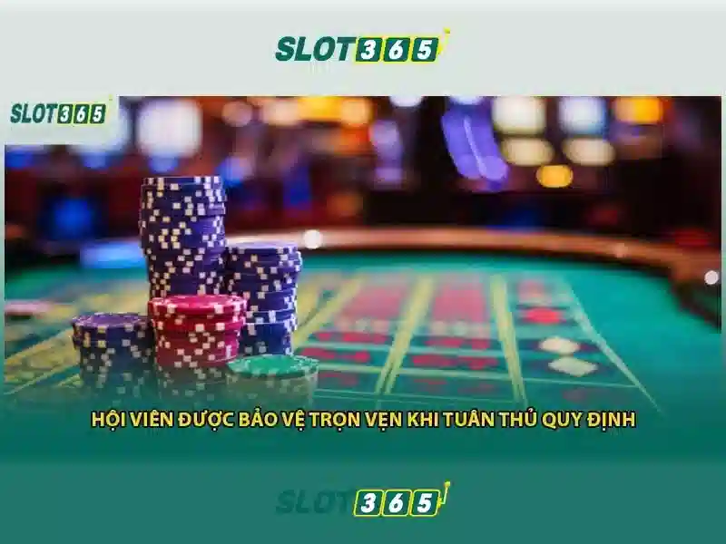 slot365 là gì: khám phá nền tảng và ứng dụng Slot365