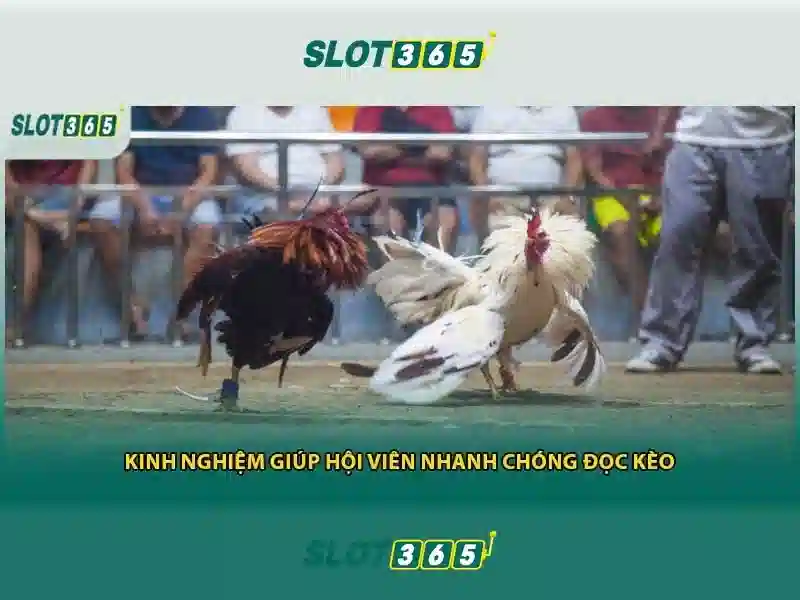 Slot365: Nền tảng slots trực tuyến hàng đầu