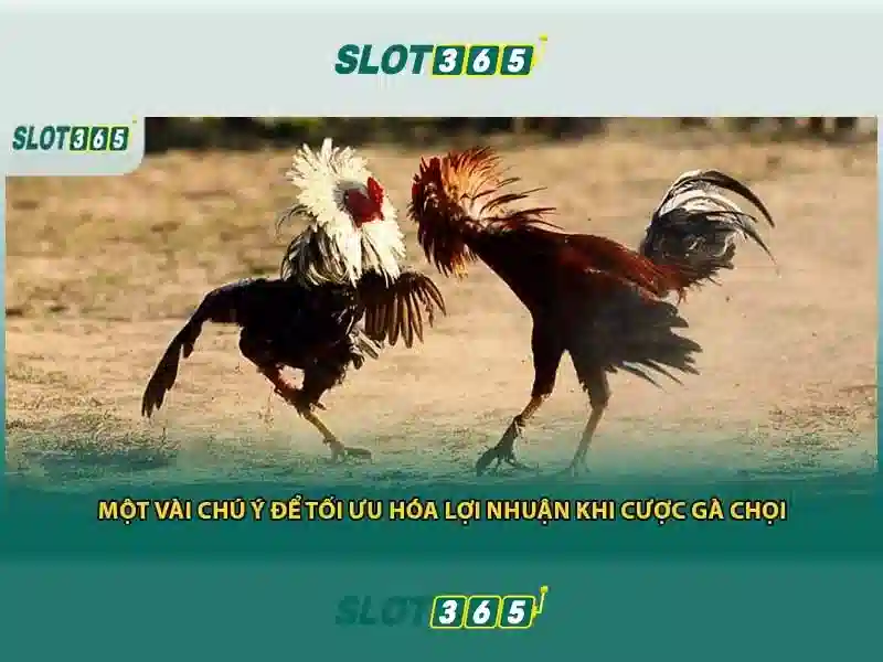 Slot365: Nền tảng slot trực tuyến đáng tin cậy
