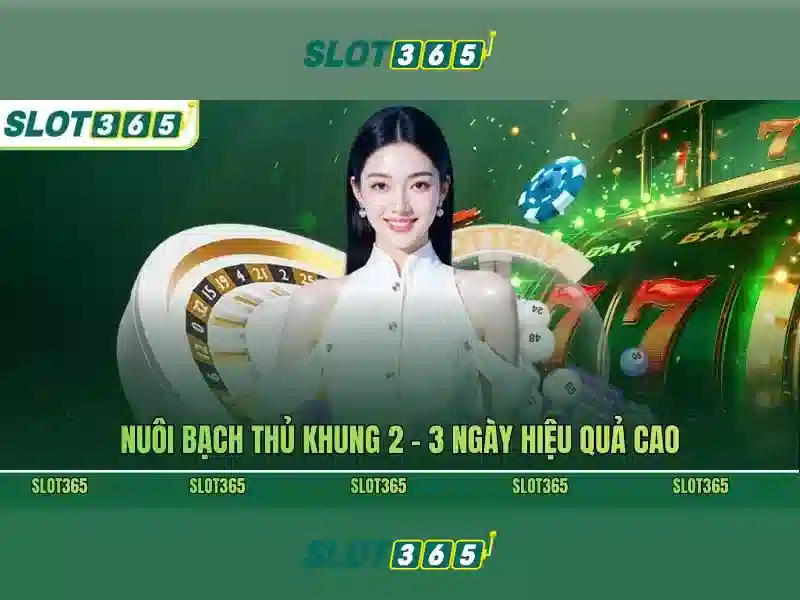 Slot365: Nền tảng xổ số trực tuyến nổi bật