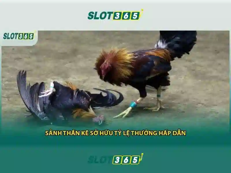 Nguồn gốc và sứ mệnh