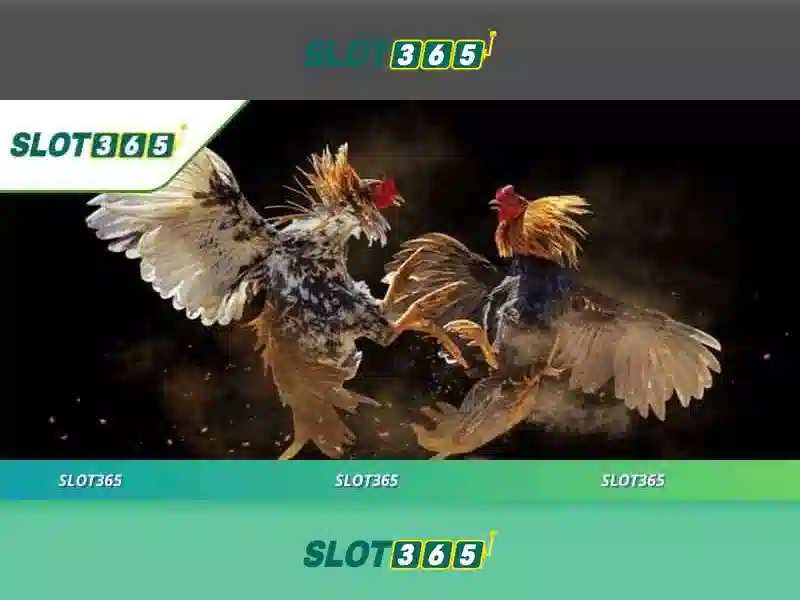 Slot365: Trải nghiệm slot trực tuyến đỉnh cao tại Việt Nam