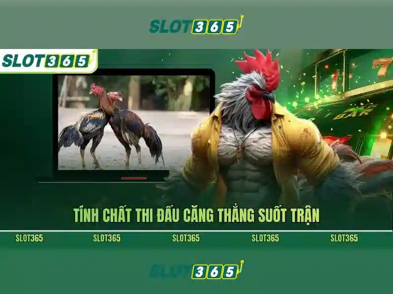 Slot365: Đánh giá tổng quan, trò chơi và hướng dẫn chơi
