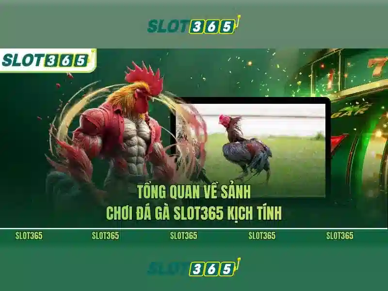 Slot365 - Trải nghiệm chơi slot trực tuyến đáng tin cậy
