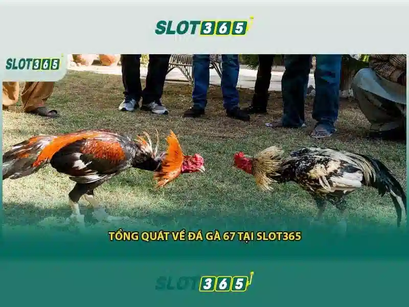 Trải nghiệm người dùng