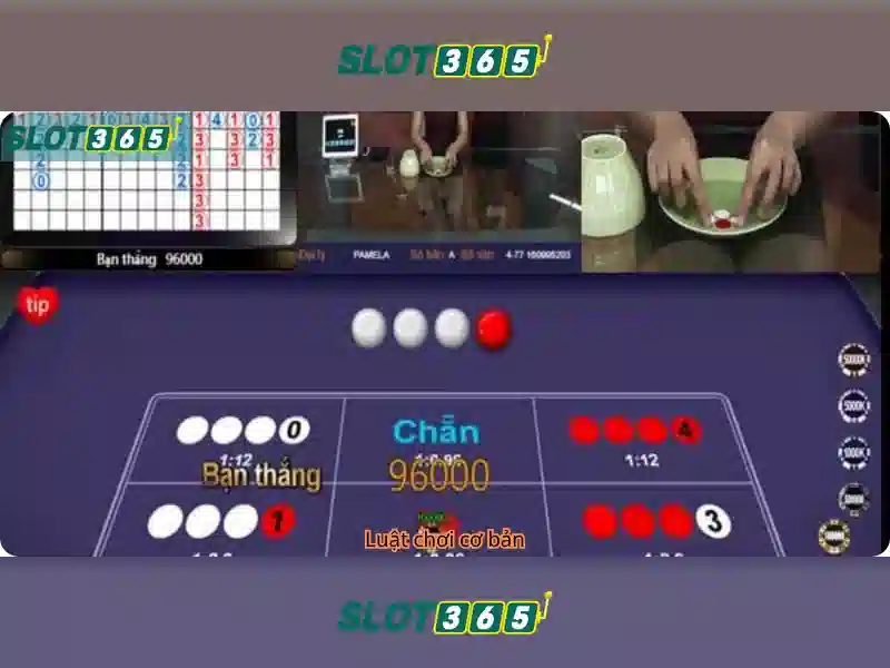 Slot365: Nền tảng trò chơi quay số trực tuyến
