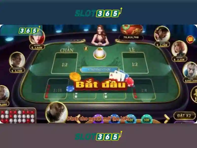 Slot365: Nền tảng chơi xèng trực tuyến đáng tin cậy