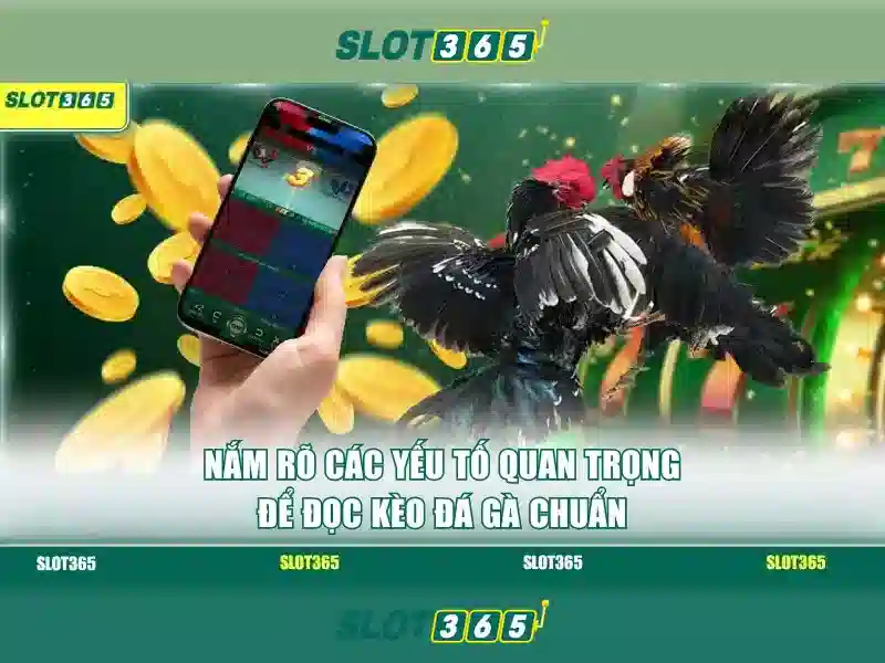 Slot365 - Sân chơi máy xèng trực tuyến uy tín