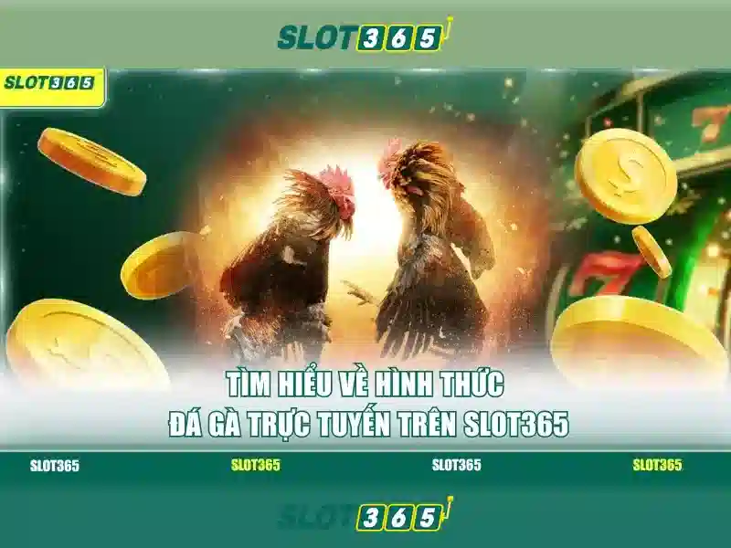 nguon va su men slot365