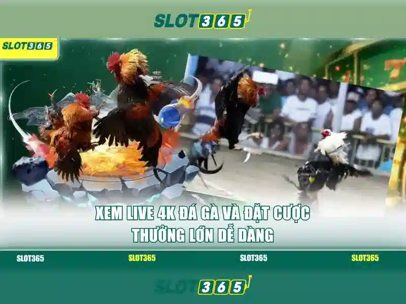 Danh mục trò chơi nổi bật