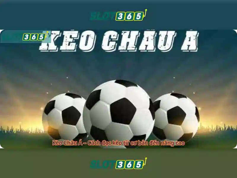 Khuyến mãi và chương trình thưởng