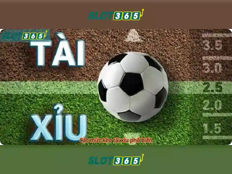 Slot365: Đánh giá chi tiết nền tảng slot trực tuyến