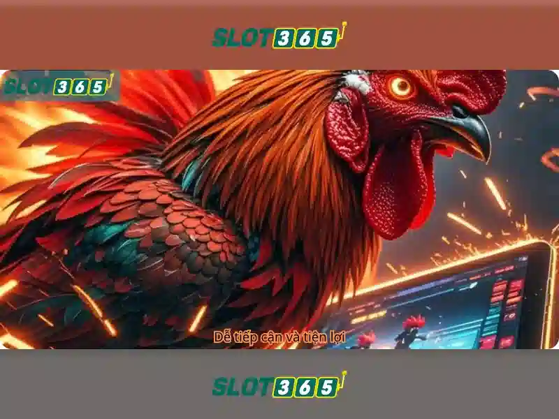 Slot365 – Tổng quan và trải nghiệm người dùng