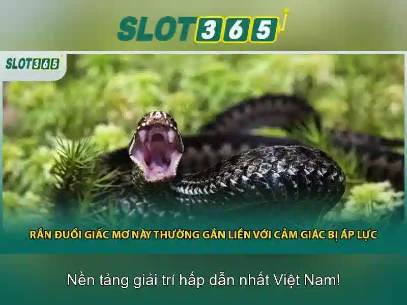Tính năng nổi bật