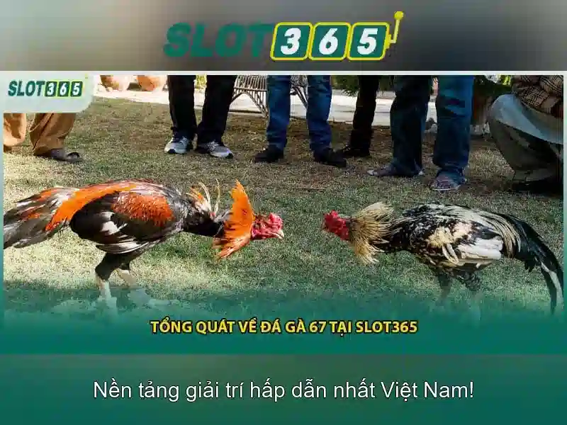 Đặc điểm nổi bật của Slot365