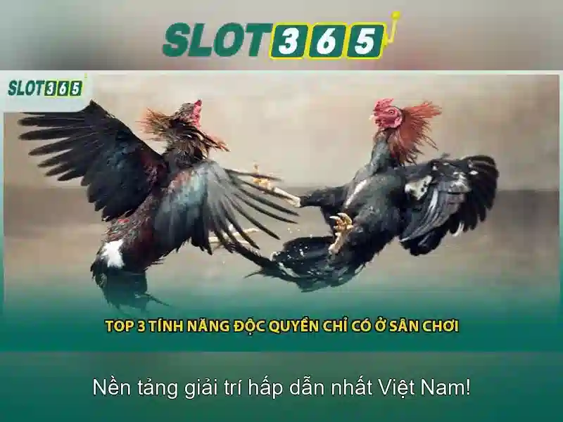 Slot365: Nền tảng trò chơi slot trực tuyến tại Việt Nam