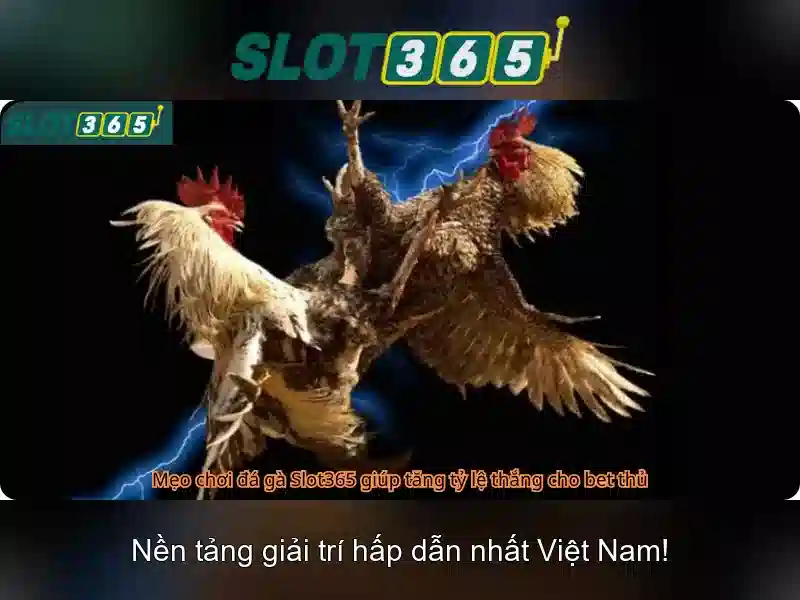 Giới thiệu về Slot365