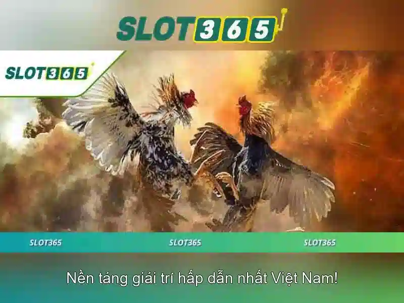 Slot365 - Nền tảng chơi slot trực tuyến đáng tin cậy