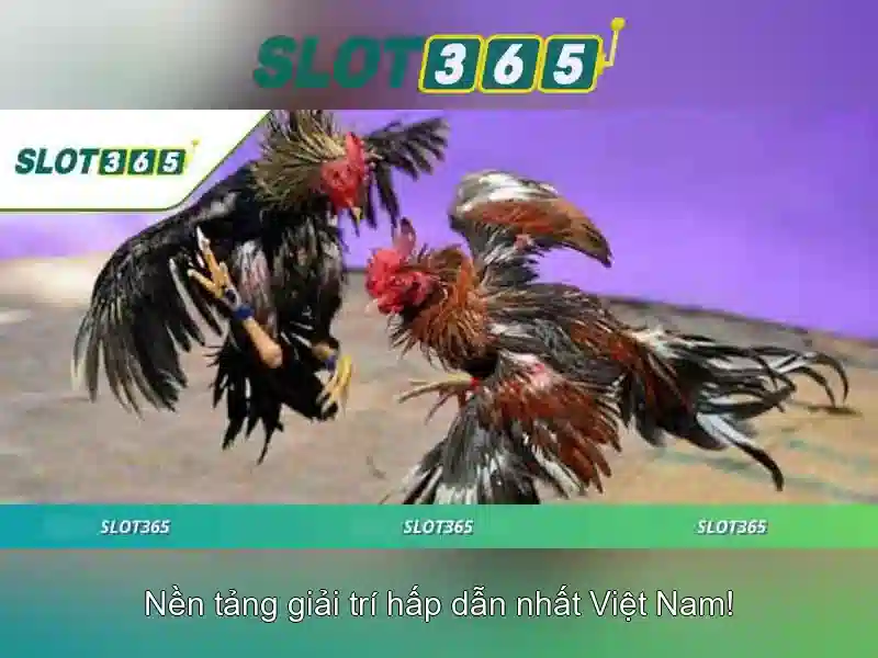 Các tính năng nổi bật của Slot365