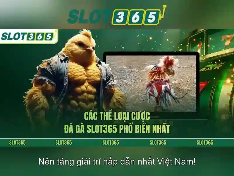 Slot365 – Nền tảng casino trực tuyến uy tín