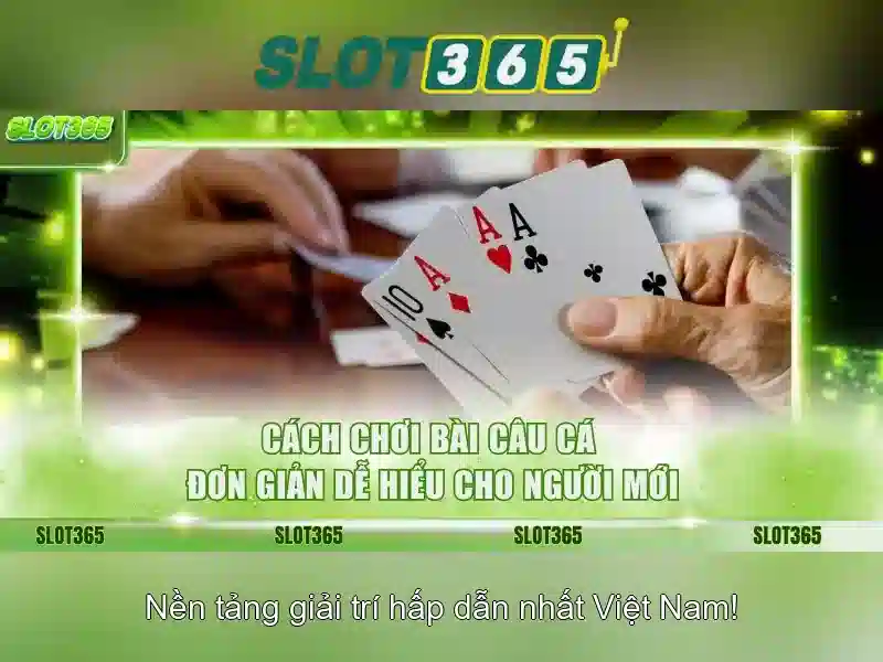 An toàn, thanh toán và hỗ trợ khách hàng\n
