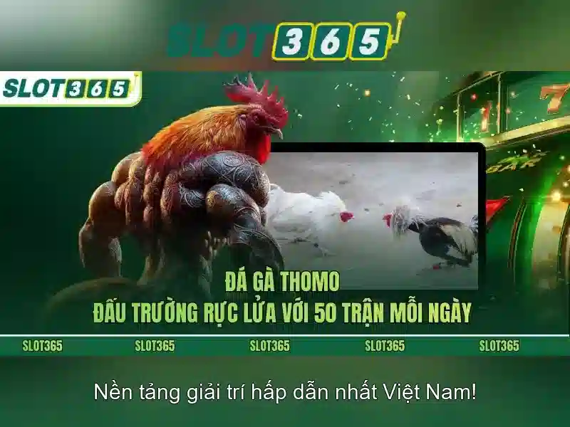 Slot365 – Trải nghiệm sòng bài trực tuyến hàng đầu