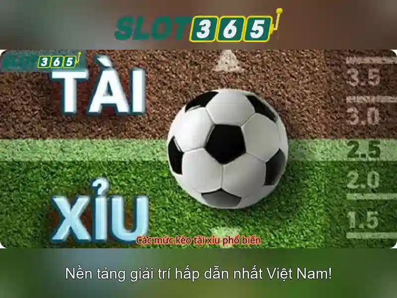 slot365 apk - Đánh giá và trải nghiệm tối ưu