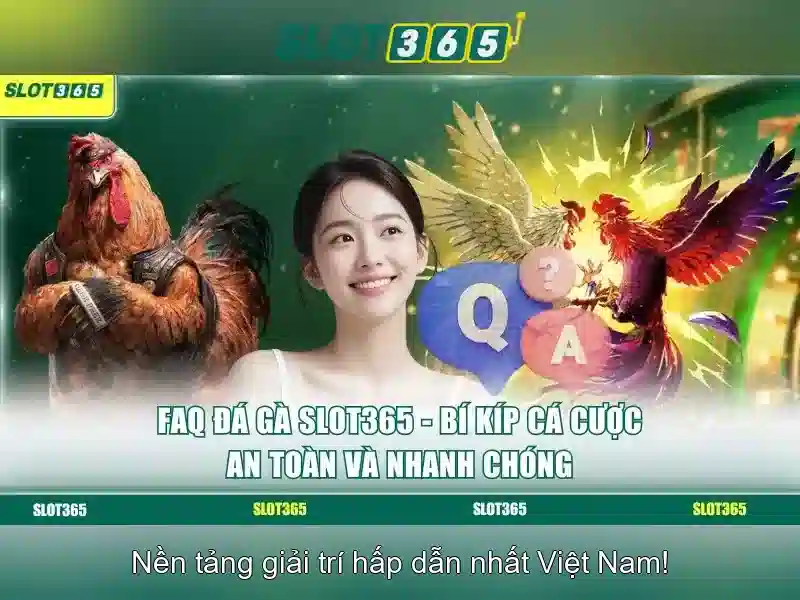 An toàn và thanh toán, hỗ trợ khách hàng
