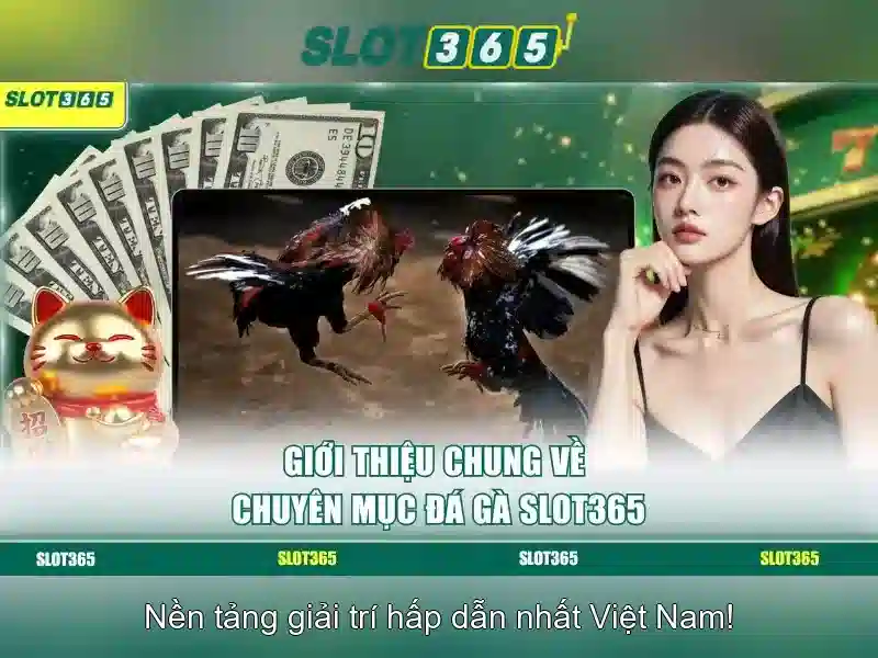 Slot365: Đánh giá và trải nghiệm chơi slot trực tuyến an toàn