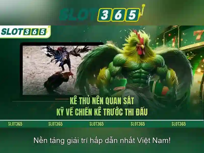 An toàn và thanh toán\n<h>Kết luận và cách bắt đầu</h>\n<li style=