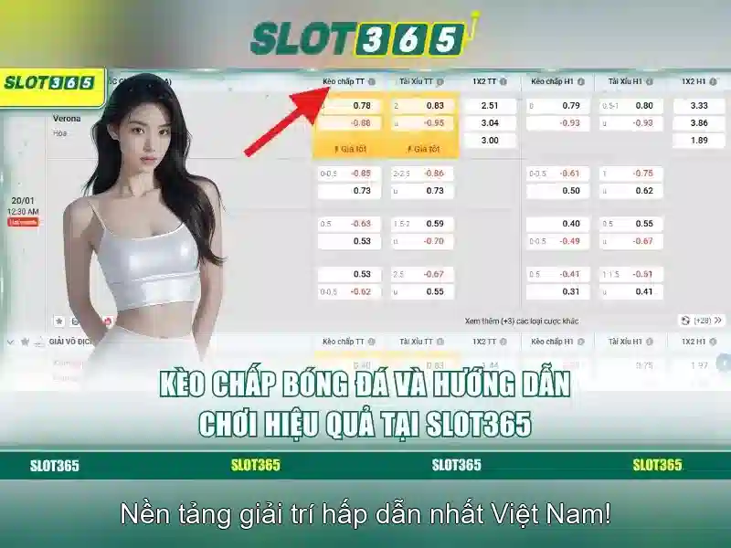 Slot365: Nền tảng trò chơi slots trực tuyến