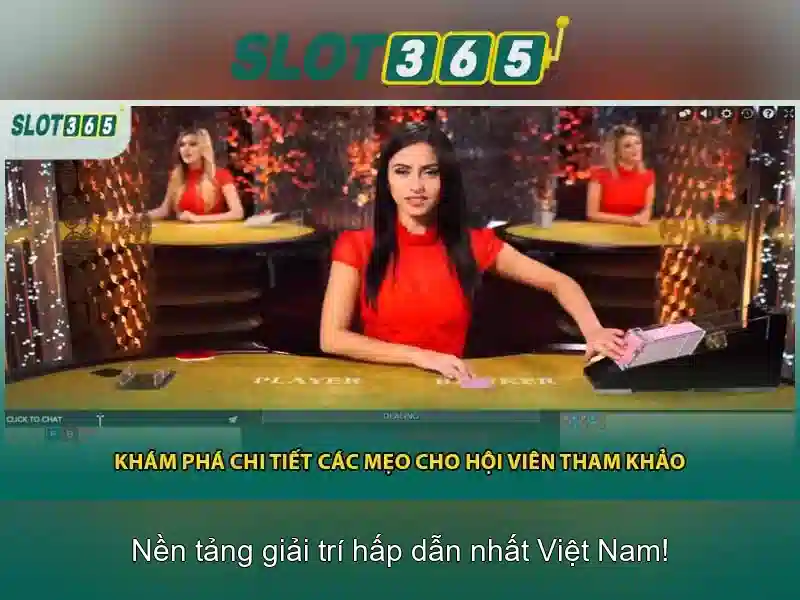 Trải nghiệm di động và hỗ trợ khách hàng