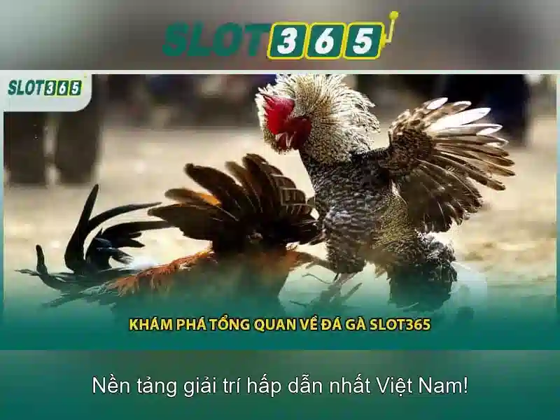 Khuyến mãi và an toàn