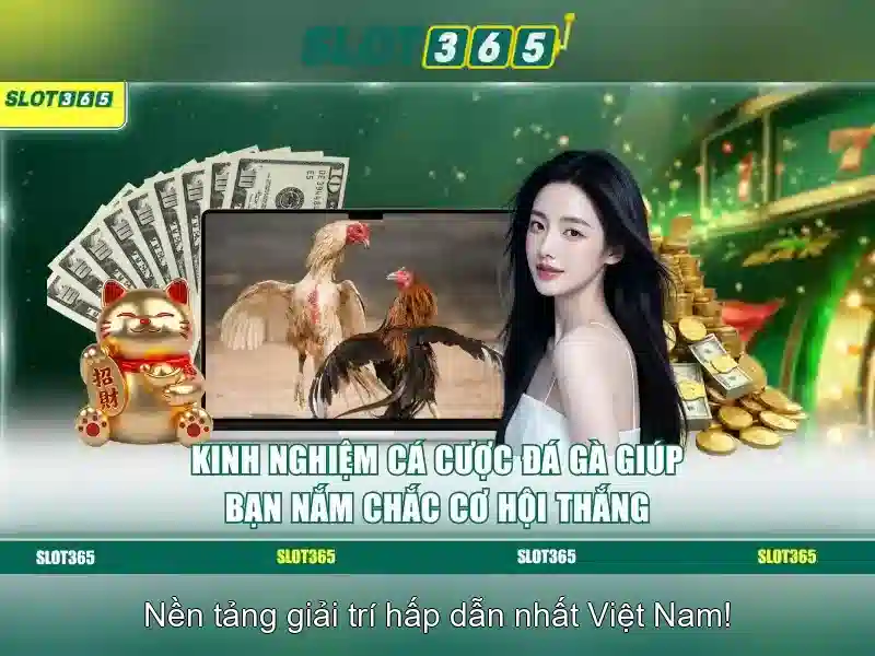 Slot365 la gi va tai sao pho bien