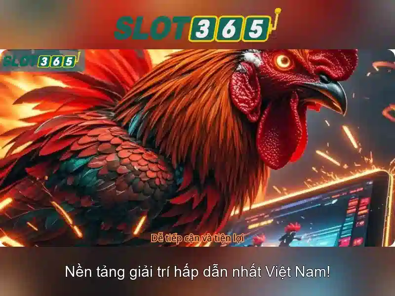 Trò chơi và tiền thưởng