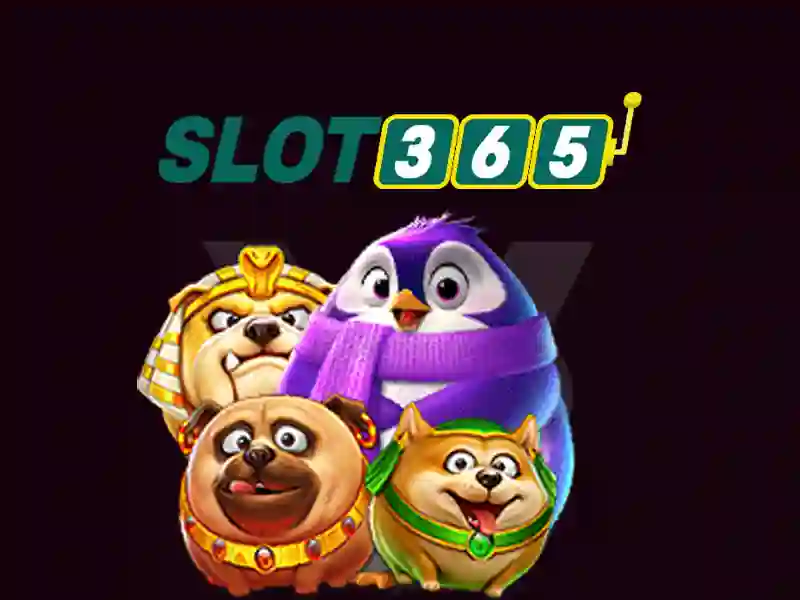Slot365: Nền tảng cược trực tuyến nổi bật