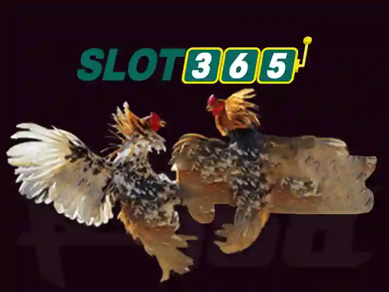 đăng ký Slot365 – Tổng quan chủ đề và giá trị cốt lõi