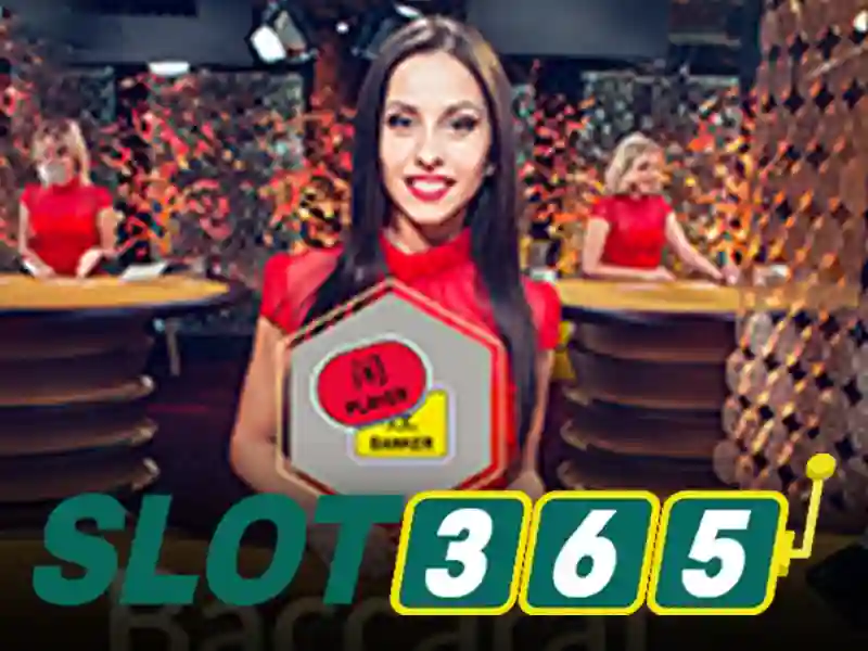 slot365 có uy tín không: khám phá trải nghiệm và đánh giá