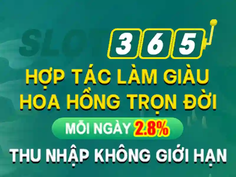 Sản phẩm và dịch vụ chính: ứng dụng thực tế của slot365 là gì
